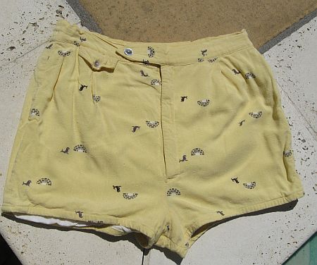 Vintage 50s Seals & Igloos Novelty Print Yellow Swim Trunks sz 40